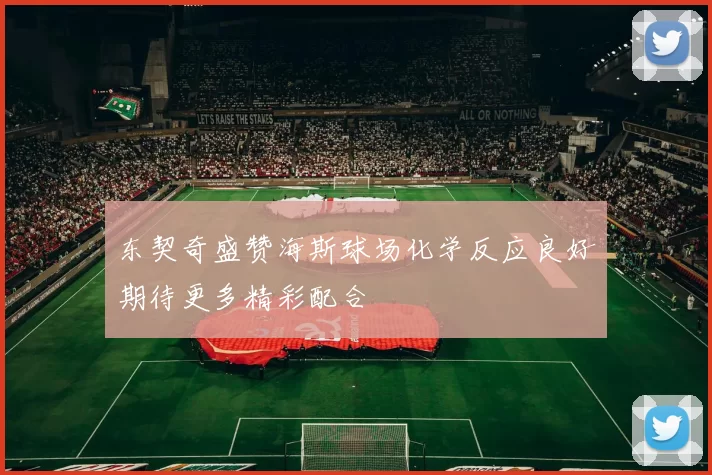 东契奇盛赞海斯球场化学反应良好期待更多精彩配合