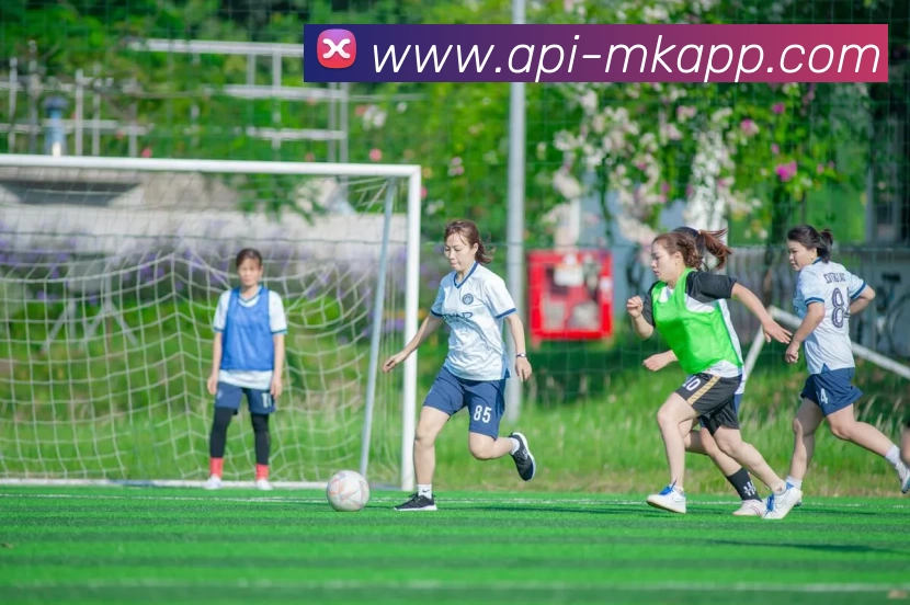 MK体育全站App